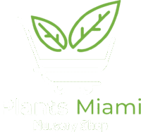 Plants Miami