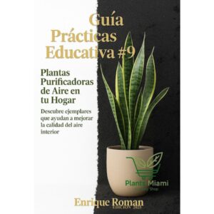 Plantas purificadoras de aire